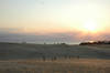 Jockey's Ridge State Park