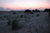 Jockey's Ridge State Park