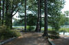 Outside Norfolk Botanical Garden