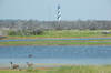 Pond Along Route 12