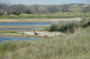 Pond Along Route 12