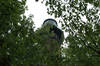 Currituck Beach Lighthouse