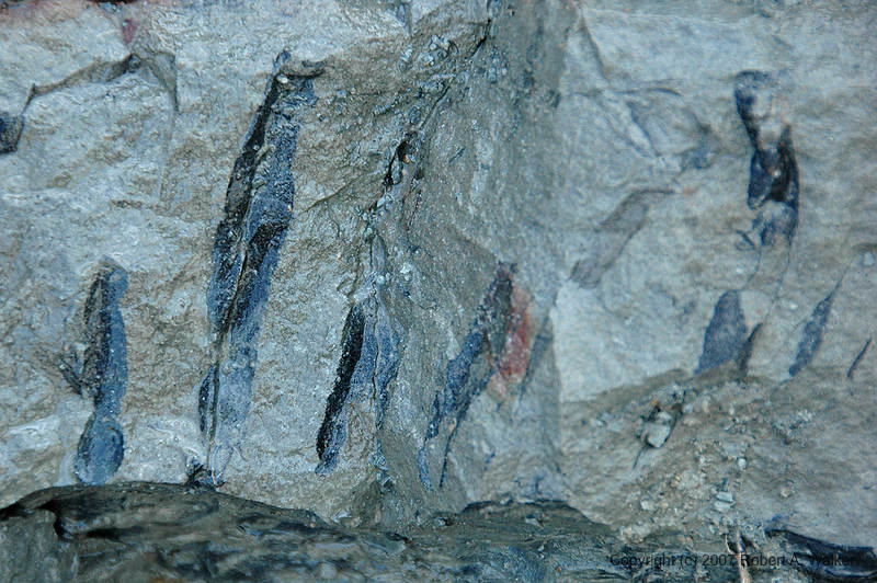 DSC_5101.jpg