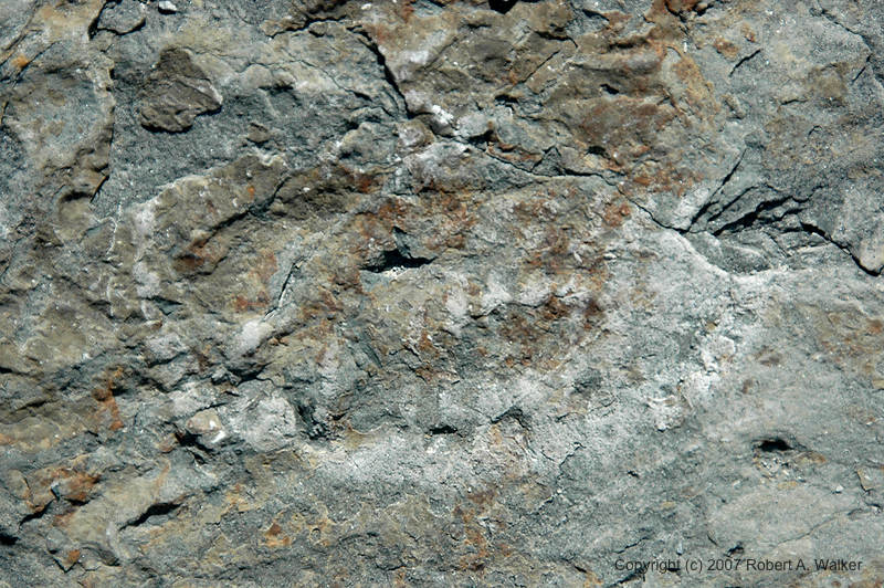 DSC_5102.jpg