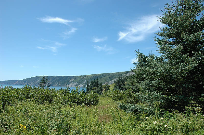 DSC_5116.jpg