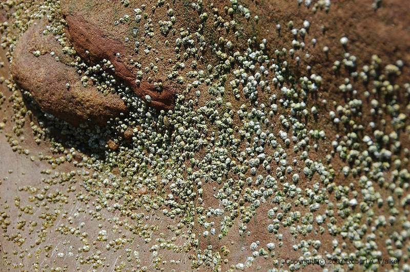DSC_5223.jpg