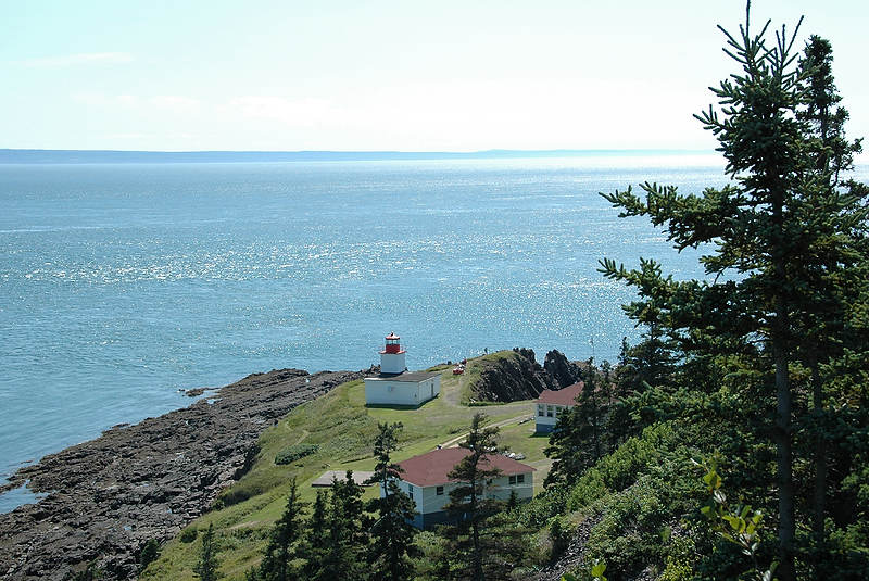 DSC_5230.jpg