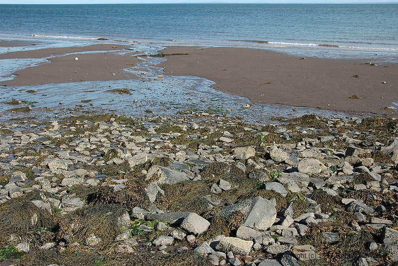 DSC_5258.jpg