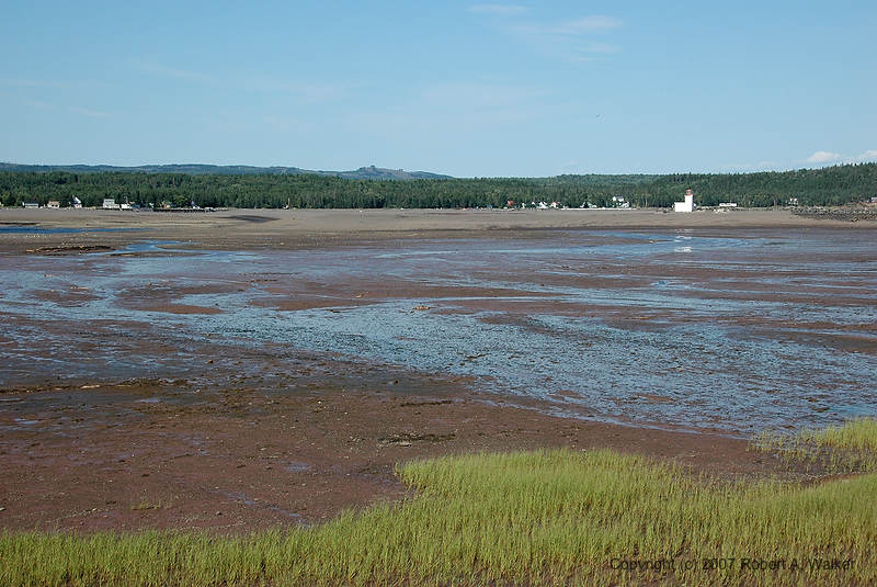 DSC_5262.jpg
