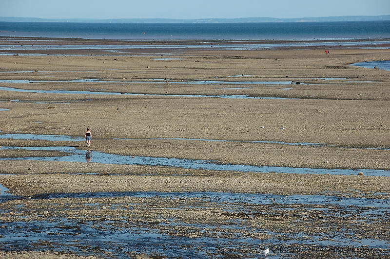 DSC_5273.jpg