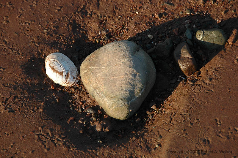 DSC_5310.jpg