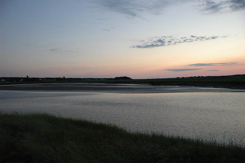 DSC_5314.jpg