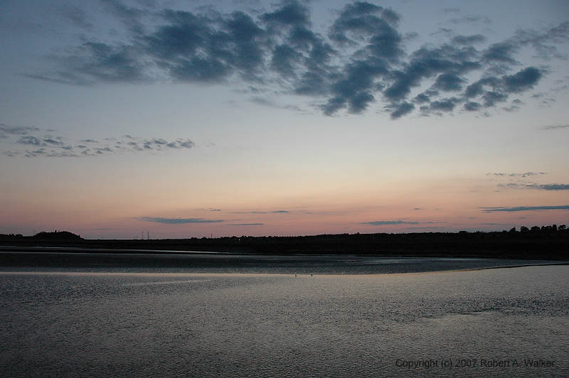 DSC_5320.jpg