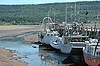 Advocate Harbour at Low Tide