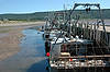 Advocate Harbour at Low Tide