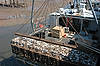 Oyster Fishing Boat