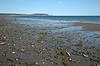 Partridge Island Picnic Area