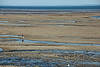 Low Tide