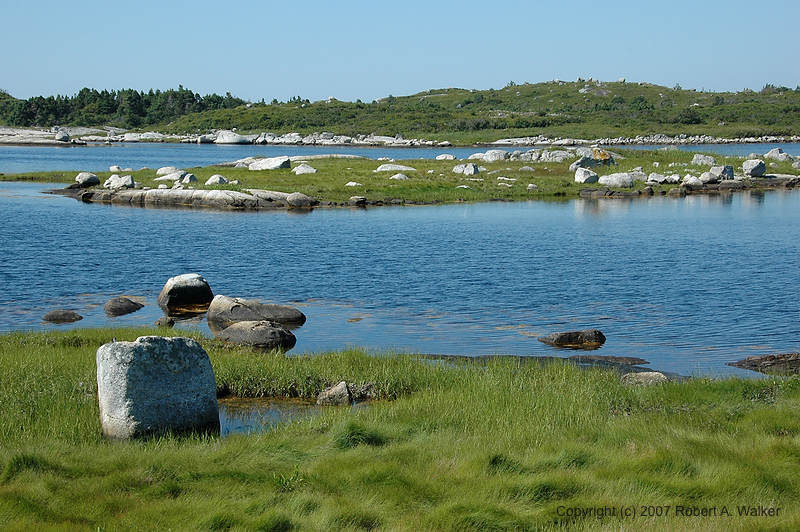 DSC_5333.jpg