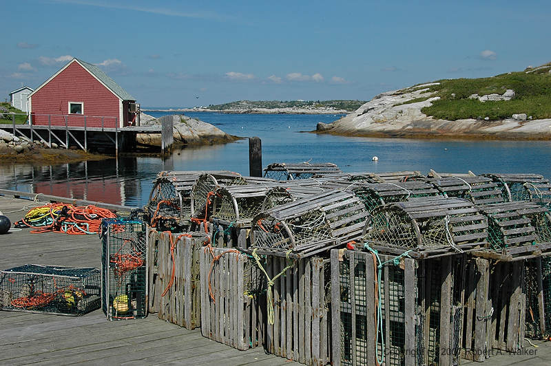 DSC_5438.jpg