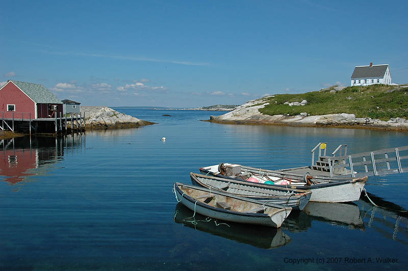 DSC_5447.jpg