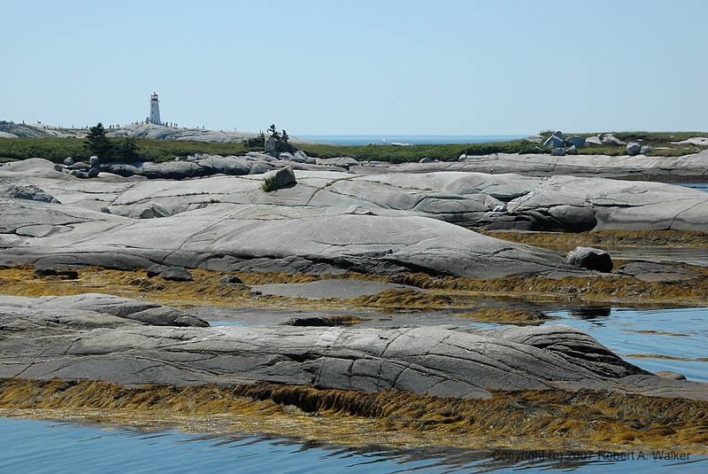 DSC_5471.jpg