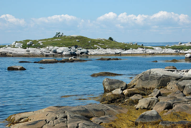 DSC_5480.jpg