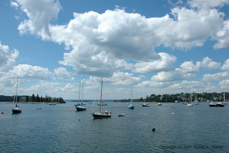 DSC_5494.jpg