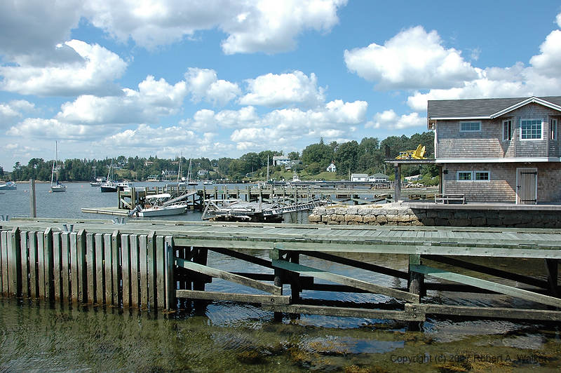 DSC_5505.jpg