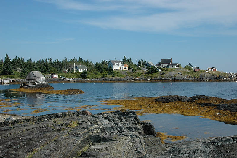 DSC_5537.jpg