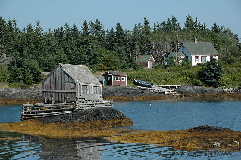DSC_5545.jpg