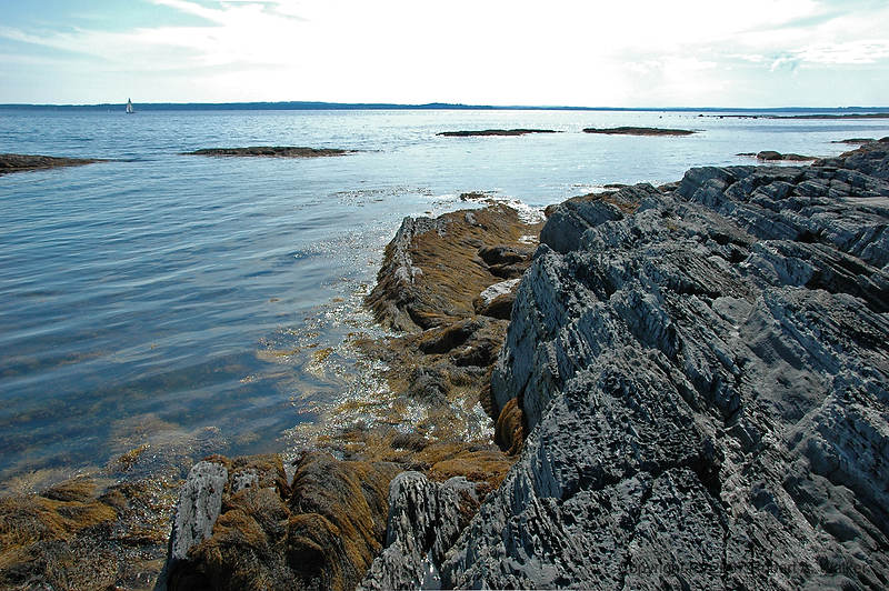 DSC_5559.jpg