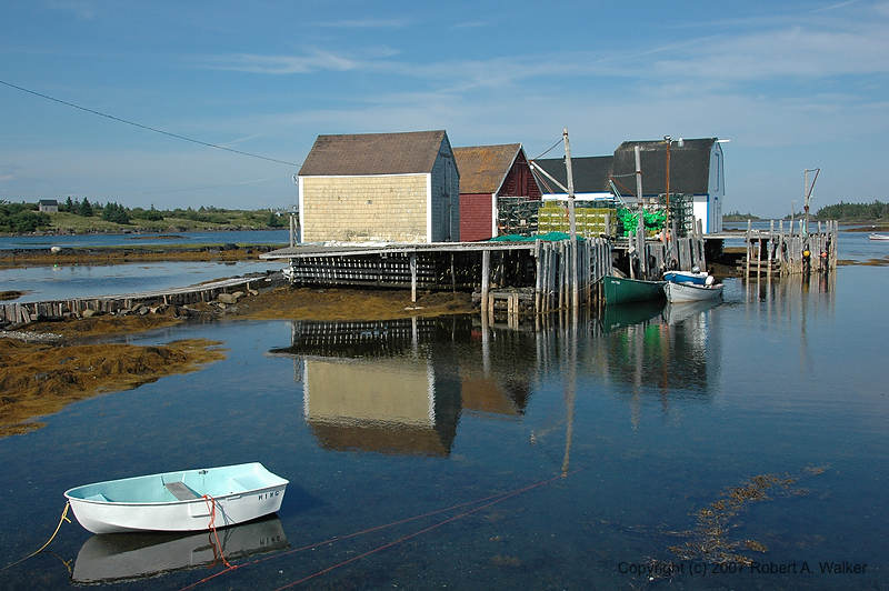 DSC_5586.jpg