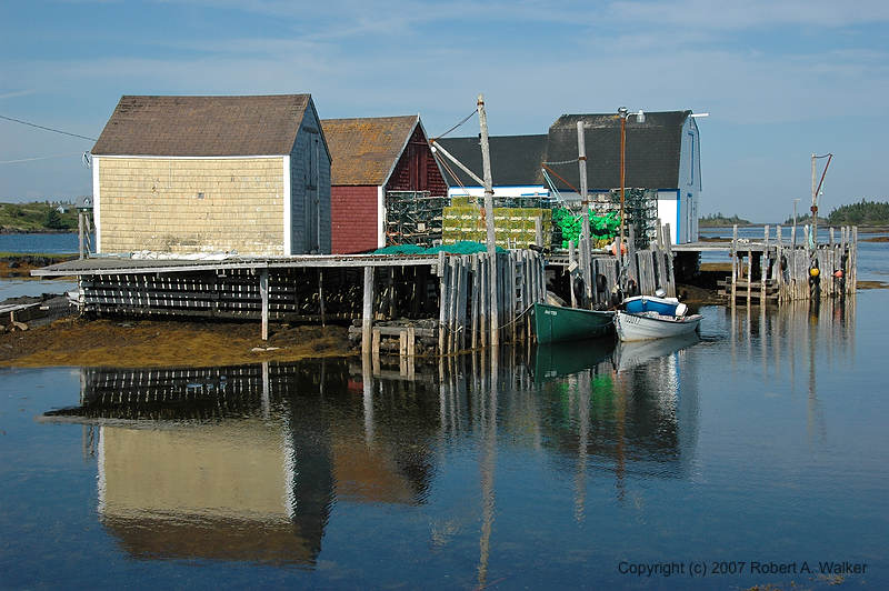DSC_5595.jpg