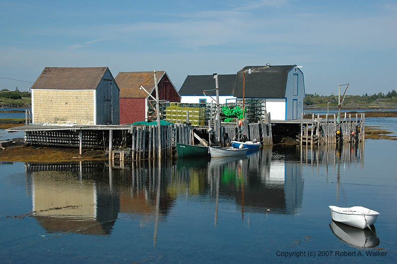 DSC_5598.jpg