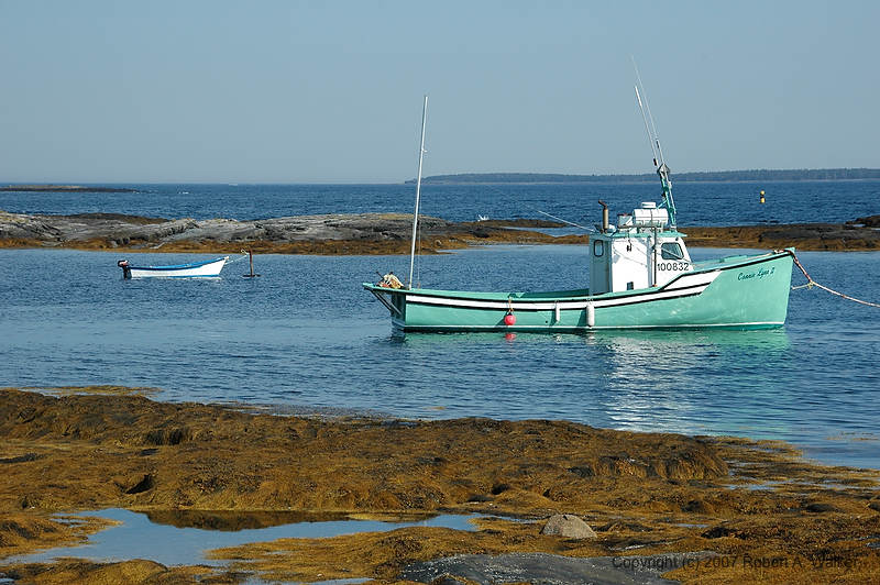 DSC_5607.jpg