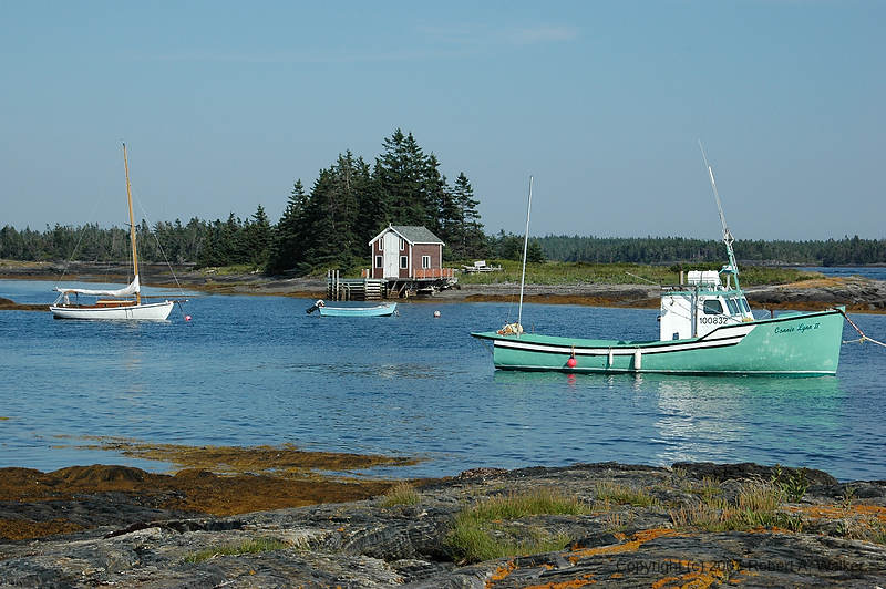 DSC_5613.jpg