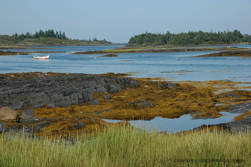 DSC_5616.jpg