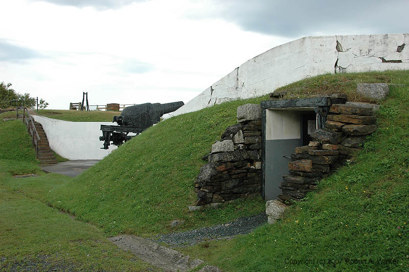 DSC_5764.jpg