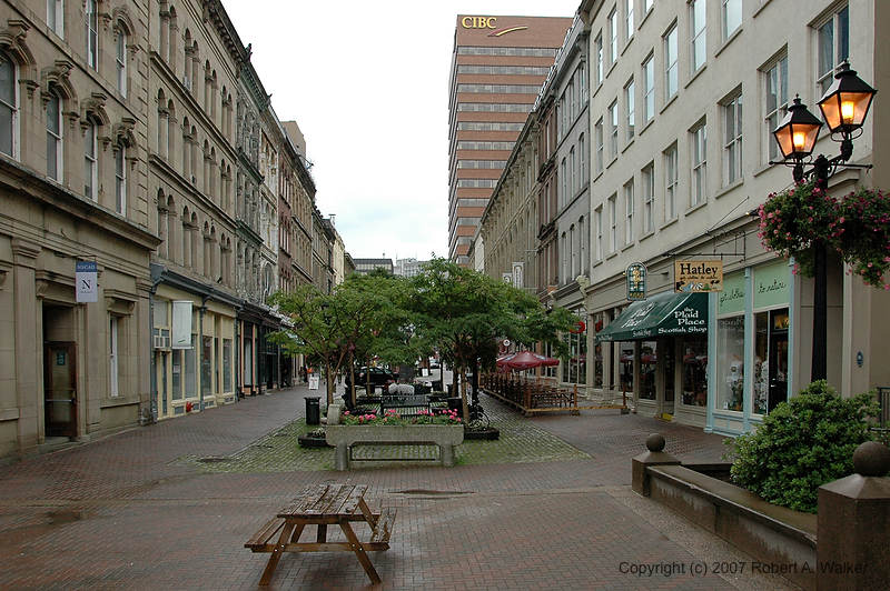 DSC_5795.jpg
