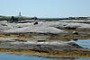 Peggy's Cove & Lighthouse (from Rt 333)