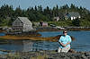 Blue Rocks