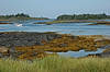 Blue Rocks
