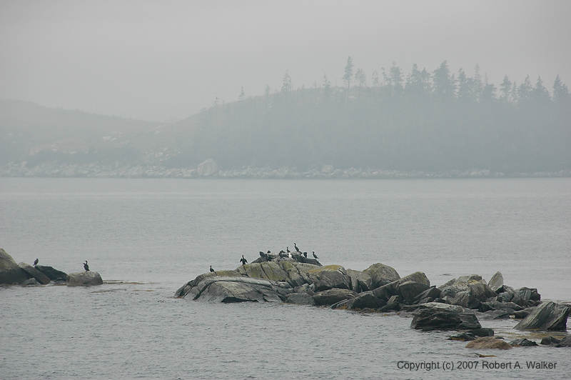 DSC_5874.jpg