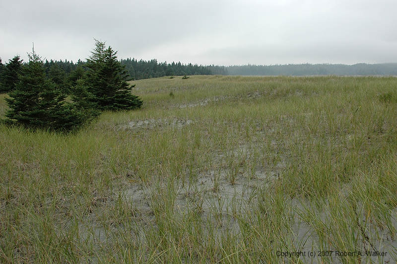 DSC_5886.jpg
