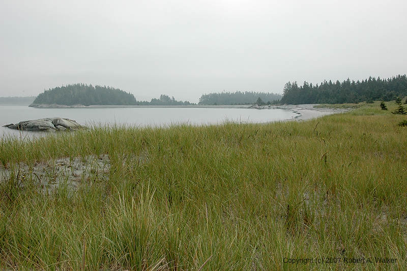 DSC_5888.jpg