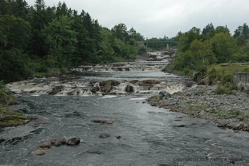 DSC_5938.jpg