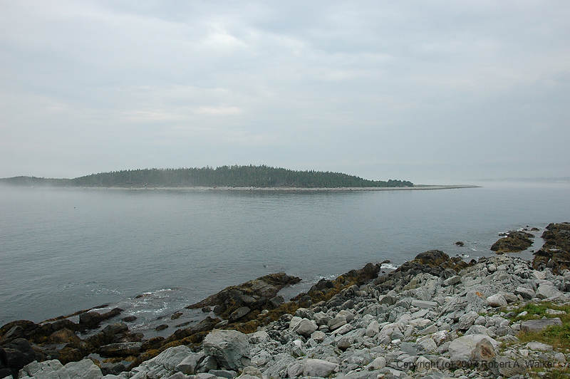 DSC_5965.JPG