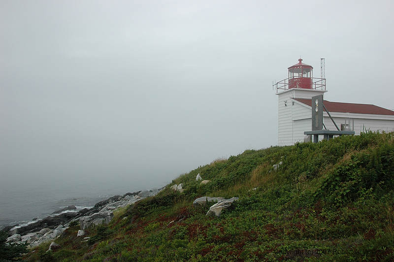 DSC_6001.jpg