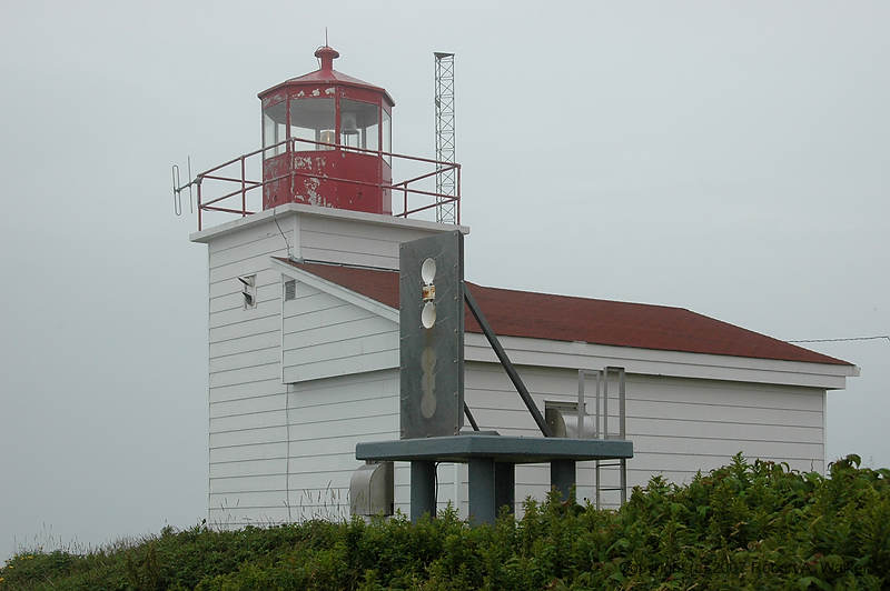 DSC_6003.jpg